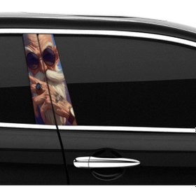 Resim Araba Etiketleri, Tuning Kaplama, Direk Folyosu - Dede Renkli 