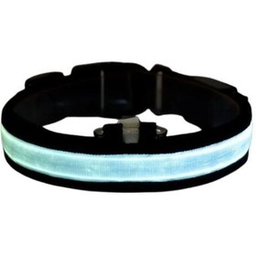 Resim Petzz Işıklı Ayarlanabilir Flaşörlü Kedi ve Köpek Boyun Tasması Mavi 40-48 Cm / 2.5 Cm 