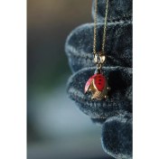 Resim 14 Ayar Altın Uğur Böceği Dikiz Süsü 