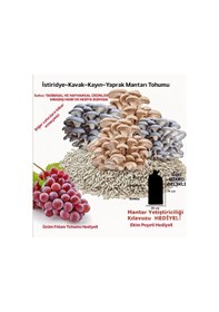Resim 3000 Adet Ortalamalı Istiridye Mantarı Tohumu, Ekim Torbası Ve Yönerge 