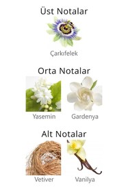 Resim Aqua Di Polo Kadın Vücut Spreyi APCN003702 - Multi / 150 ML 