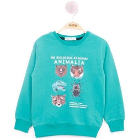 Resim Toontoy Kids Toontoy Erkek Çocuk Relax Fit Bisiklet Yaka Animal Baskılı Sweatshirt - 2 İplik Koyu Yeşil 