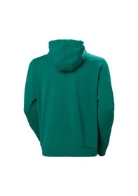 Resim Helly Hansen Hh Logo 2.0 Kapişonlu Erkek Sweatshirt Hha.30394.439 001 