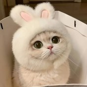 Resim Yumuşak Peluş Paskalya Tavşan Kedi Şapkası - Pembe Vurgularla Beyaz Sarkan Tavşan Kulaklı, Sevimli Kedi ve Küçük Hayvanlar için Aksesuar, Sadece Elde Yıkama, Tavşan Şapka, Bahar Kedi Modası, Rahat Evcil Hayvan Giysisi 