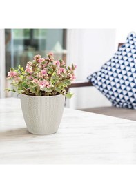 Resim Serinova Sümela Örgü Desenli Saksı 5 Lt 