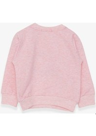 Resim Breeze Kız Çocuk Sweatshirt Nakışlı Pullu 1-4 Yaş, Somon Melanj (553857985) Çok Renkli 