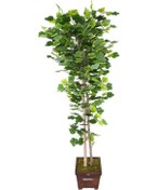 Resim Yapay Çiçek Deposu Yapay Ağaç Yeşil Yapraklı Çınar Ağacı 190 Cm 