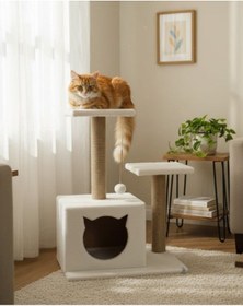 Resim Reyo Pet Stepli Yuvalı Kedi Tırmalaması Kedi Görünümlü 