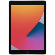 Resim iPad 10.2 inç 32 GB Wi-Fi + Cellular 8. Nesil Uzay Gri 