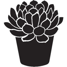 Resim Saksı Çiçeği Kaktüs (Tip 1) 40X44 cm 