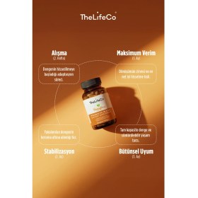 Resim TheLifeCo Happyflora Probiyotik 10 Milyar Mikroorganizma İçeren Gıda x 3 Adet 
