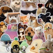 Resim 50 Adet Komik Hayvan Bakışı Stickerları - Su Geçirmez ve Şeffaf PET Malzeme, Cep Telefonları, Dizüstü Bilgisayarlar, Bavullar, Aynalar, Gitarlar, Kasklar vb. Süslemek İçin Uygun 