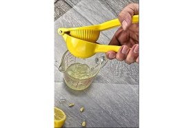 Resim Limon Pres Sıkacağı 8X20X5 Cm. 