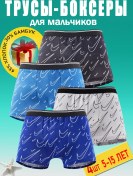 Resim Asij Çocuk Ve Gençler İçin Boksör Külot Seti 433479131 Mavi 