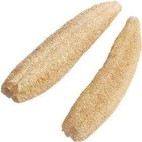 Resim Lif Kabak Tohumu Lif Kabağı Tohumu 2000 Adet Tohum 