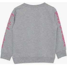 Resim Breeze Kız Çocuk Sweatshirt Unicorn Baskılı 2-6 Yaş, Gri Melanj-gri Melanj Gri Melanj 