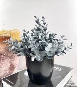 Resim Yapay Çiçek Gümüş Renk Şimşir Siyah Saksıda Siyah Plastik Saksılı 