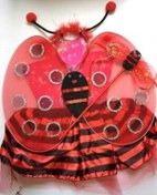 Resim Uğur Böceği Kostüm Seti Çocuk Boy Çok Renkli 