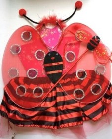 Resim Uğur Böceği Kostüm Seti Çocuk Boy Çok Renkli 