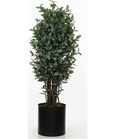 Resim Bery Green 160 Cm Metal Saksılı Ak.znd029 
