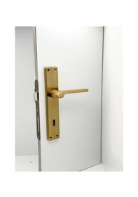 Resim Tutku Titanyum Gold Lüx Aynalı Oda Kapı Kolu 1 Takım 