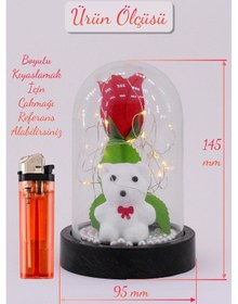 Resim 3 Modlu Led Işıklı Fanus İçinde Beyaz Ayıcık Detaylı Sevgiliye Hediyelik Dekoratif Gece Lambası 