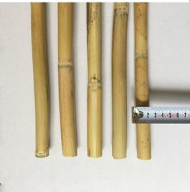 Resim Fidan Destek Çubuğu Kamış 180-190Cm 25 Adet 
