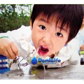 Resim Damlalife Fışkırtmalı Musluk Basmalı Su Çeşme 