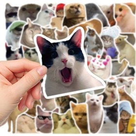 Resim Büro Ev Ofis Bilgisayarı İçin Macbook Uyumlu Notebook Laptop Kedicikler Sticker Seti 