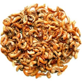 Resim Gammarus Turtle 1000 ml Sürüngen ve Kaplumbağa Yemi 