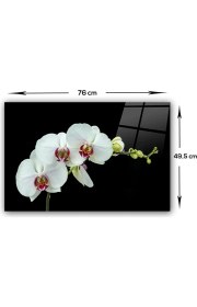Resim Decorita Zarif Orkide | Cam Ocak Arkası Koruyucu | 