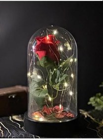 Resim Lapidaria Cam Fanus Içerisinde Peri Led Işıklı Solmayan Kırmızı Gül Lamba Ve Yonca Kolye 