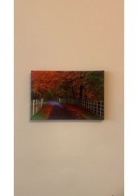 Resim Sonbahar Manzaralı Natürel Tasarım Ahşap Çerçeve Ev İşyeri Ofis D 