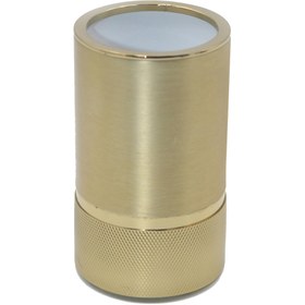 Resim System Altın Pirinç Saten Diş Fırçalığı (BA20006 001007 GL-BB) 