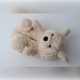 Resim Akınalbella Kadın Hayvanlı Panduf %90 Yün Bej Desenli Konforlu Homewear 