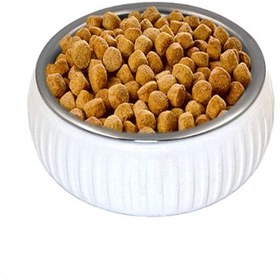Resim Mikopet Organik Seramik Mama Kabı Beyaz 