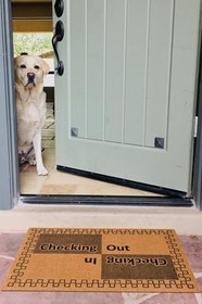 Resim Cheking İn Chekin out, içeri dışarı, Kapı Önü Paspası, Uzun Ömürlü Paspas, Çeyiz İçin Ev Hediyesi 