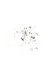Resim Tombow Mono Zero Basmalı Kalem Silgi 2.5X5 Mm - Siyah 