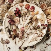Resim 40 adet Gül Bitkisi PET Dekoratif Günlük Malzeme Çıkartmaları Scrapbook Etiket Günlük Kırtasiye Albümü Telefon Defteri Planlayıcı için Dekoratif Çıkartmalar 