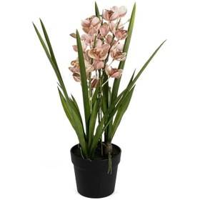 Resim Mikasa Moor P282.356552 Pembe Yapay Simbidyum Orkide 58cm 