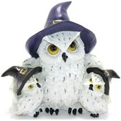 Resim Kenpazar Polyester Baykuş Ailesi Biblo 