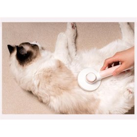Resim naque Kavis Uçlu Kedi Köpek Banyo Ve Tarama Tarağı Kendini Temizleyen Tüy Toplama Fırçası 