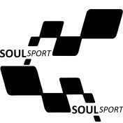 Resim TSC Soul Sport Etiket Yapıştırma 30CMX11CM MMD304 