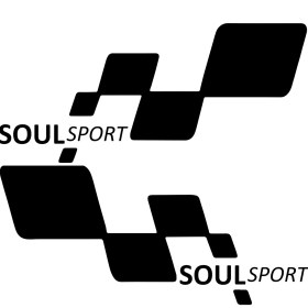 Resim TSC Soul Sport Etiket Yapıştırma 30CMX11CM MMD304 
