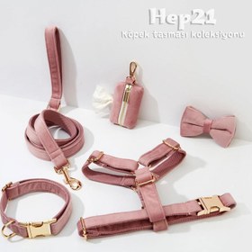 Resim Dog Collar Named Light Purple Collar 106911 - 5pcs set / L 