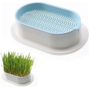 Resim Mufunye Kedi Çimi Ekici Hidroponik Yetiştirme Kiti İç Mekan Kedileri İçin Topraksız Üretim 