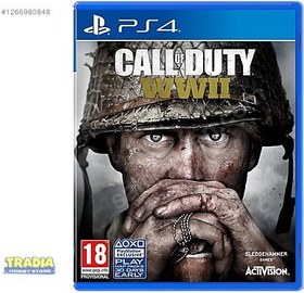 Resim Activision Ps4 Call Of Duty Wwii 