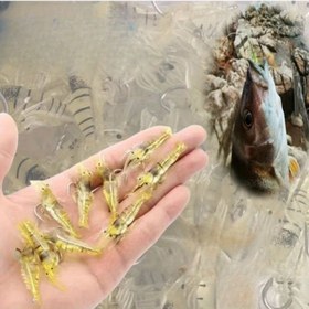 Resim 20 Parça Karides Yem Seti, Tatlı ve Tuzlu Suda Kullanım İçin Yumuşak Karides Yemi, Keskin Kancalı ve Boncuklu, Alabalık, Levrek, Somon ve Deniz Levreği için Uygun 