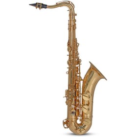 Resim Roy Benson TS-302 Tenor Saksafon 