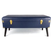 Resim Mavi Bench 100x40x44cm 